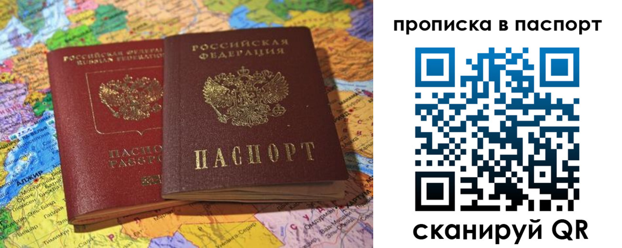 прописка гарантия в Светогорске